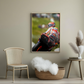 Moto GP - Visivus