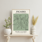 Picasso - Visivus