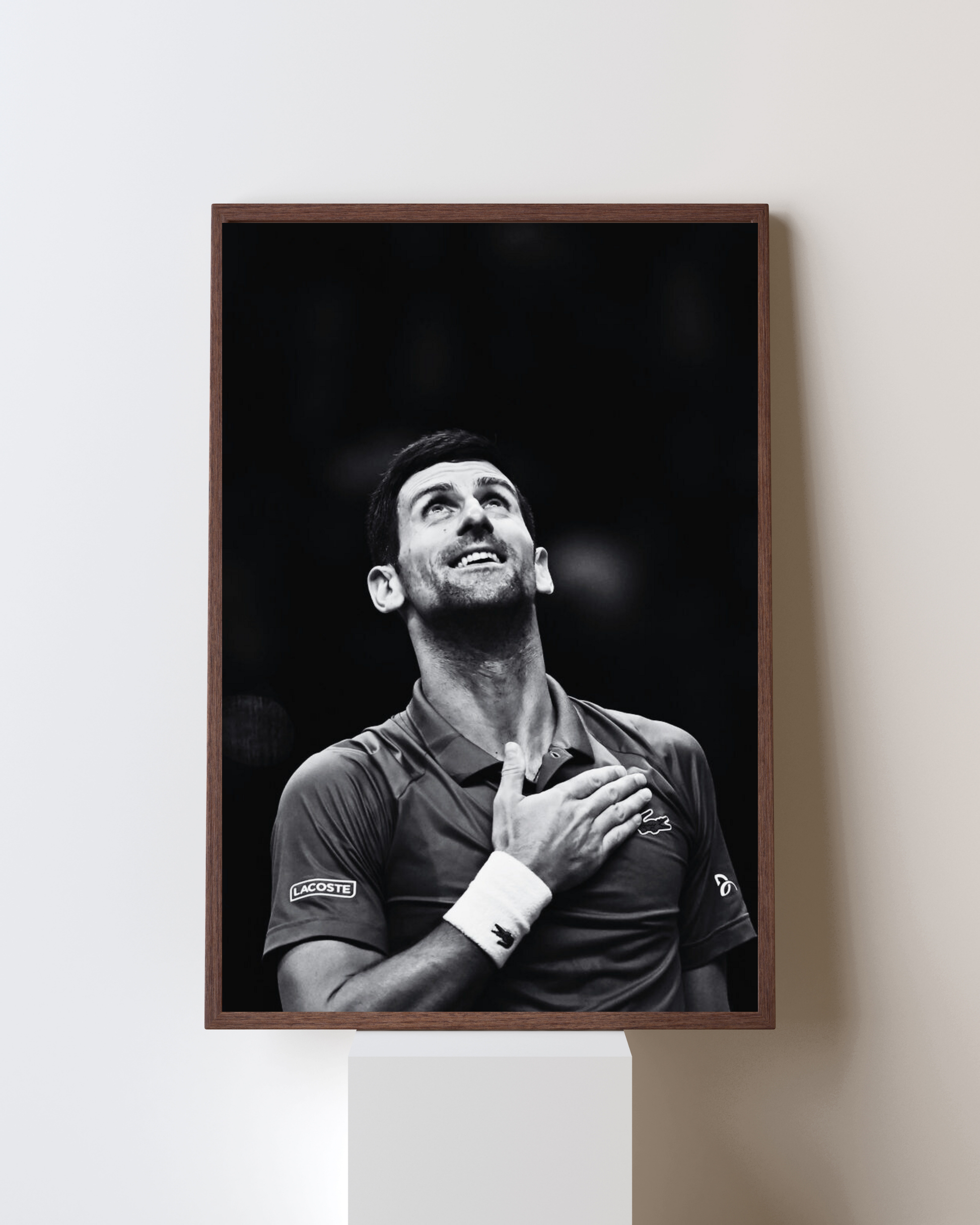 Tennis - Djokovic - Visivus